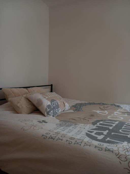 Le Doubs Cosy Apartment Besancon Luaran gambar