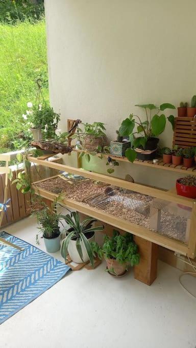 Le Doubs Cosy Apartment Besancon Luaran gambar
