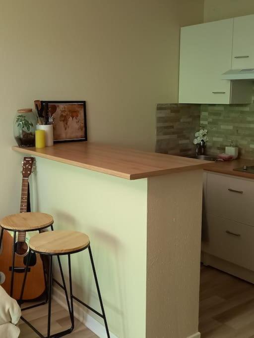 Le Doubs Cosy Apartment Besancon Luaran gambar