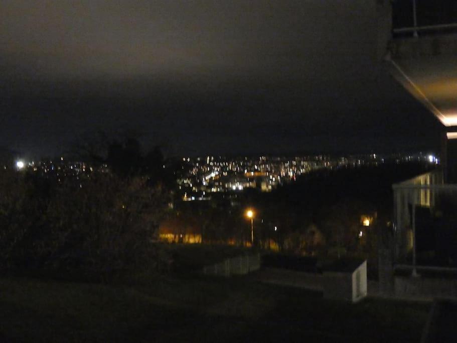 Le Doubs Cosy Apartment Besancon Luaran gambar