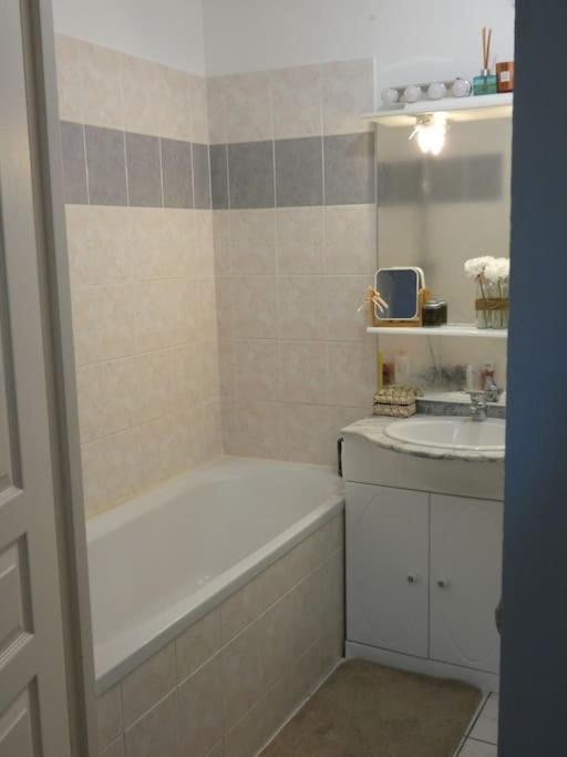 Le Doubs Cosy Apartment Besancon Luaran gambar